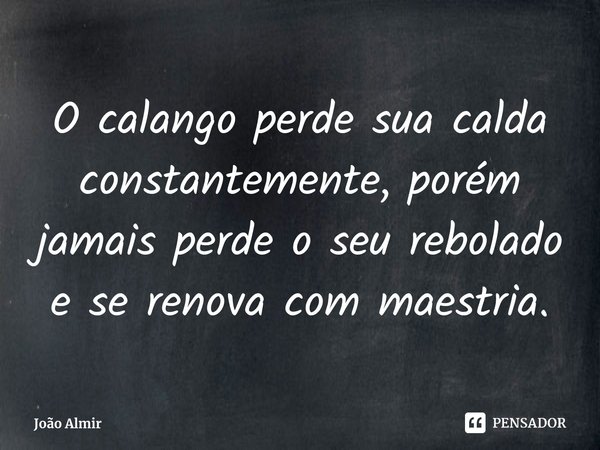 ⁠O calango perde sua calda constantemente, porém jamais perde o seu rebolado e se renova com maestria.... Frase de João Almir.