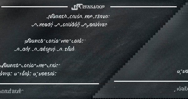 Quanta coisa me trava: o medo, a solidão, a palavra. Quanta coisa me cala: a dor, o desejo, a fala. Quanta coisa me cria: a palavra, a fala, a poesia.... Frase de João Andrade.