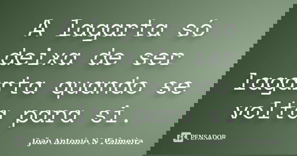 A lagarta só deixa de ser lagarta quando se volta para si.... Frase de João Antonio N. Palmeira.
