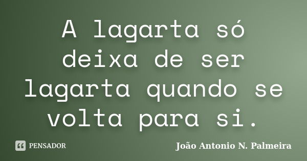 A lagarta só deixa de ser lagarta quando se volta para si.... Frase de João Antonio N. Palmeira.