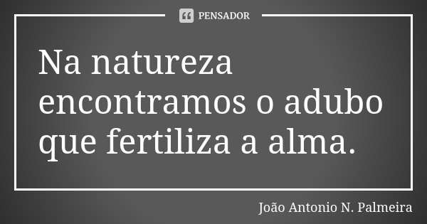 Na natureza encontramos o adubo que fertiliza a alma.... Frase de João Antonio N. Palmeira.