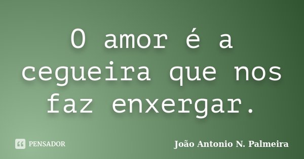 O amor é a cegueira que nos faz enxergar.... Frase de João Antonio N. Palmeira.