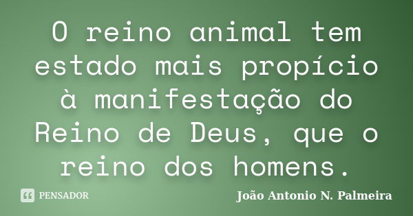 O reino animal tem estado mais propício à manifestação do Reino de Deus, que o reino dos homens.... Frase de João Antonio N. Palmeira.