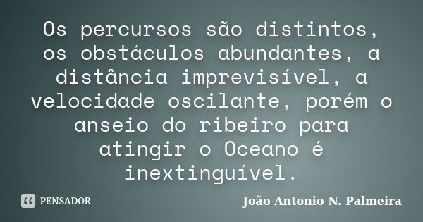 Os percursos são distintos, os obstáculos abundantes, a distância imprevisível, a velocidade oscilante, porém o anseio do ribeiro para atingir o Oceano é inexti... Frase de João Antonio N. Palmeira.