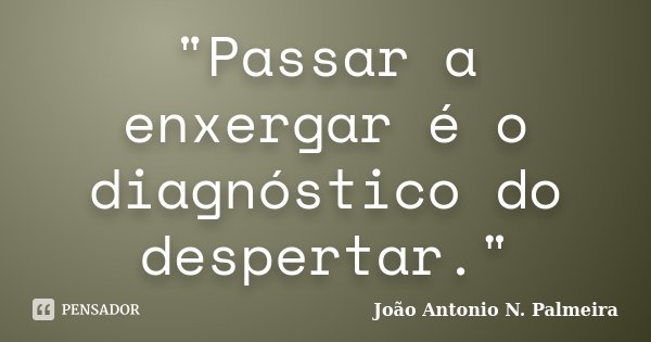 "Passar a enxergar é o diagnóstico do despertar."... Frase de João Antonio N. Palmeira.