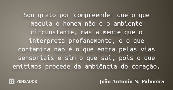 Sou grato por compreender que o que macula o homem não é o ambiente circunstante, mas a mente que o interpreta profanamente, e o que contamina não é o que entra... Frase de João Antonio N. Palmeira.