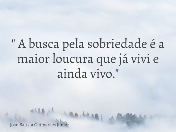 " A busca pela sobriedade é a maior loucura que já vivi e ainda vivo."... Frase de João Batista Guimarães Junior.