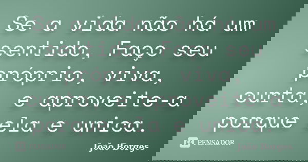 Se a vida não há um sentido, Faço seu próprio, viva, curta, e aproveite-a porque ela e unica.... Frase de João Borges.