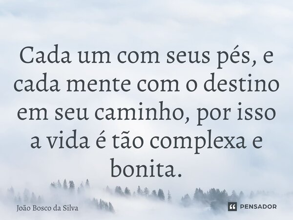 ⁠Cada um com seus pés, e cada mente com o destino em seu caminho, por isso a vida é tão complexa e bonita.... Frase de João Bosco da Silva.