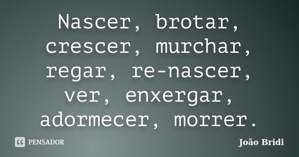 Nascer, brotar, crescer, murchar, regar, re-nascer, ver, enxergar, adormecer, morrer.... Frase de João Bridi.