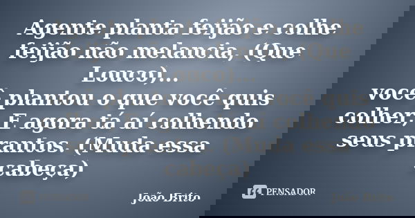 Agente planta feijão e colhe feijão não melancia, (Que Louco)... você plantou o que você quis colher, E agora tá aí colhendo seus prantos. (Muda essa cabeça)... Frase de João Brito.