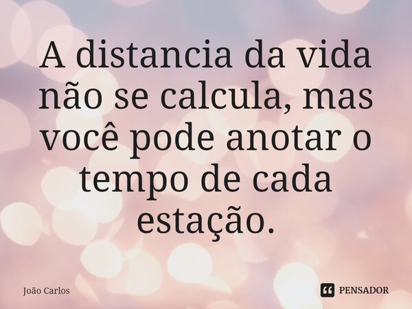 ⁠A distancia da vida não se calcula, mas você pode anotar o tempo de cada estação.... Frase de Joao Carlos.