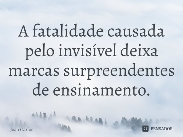 ⁠A fatalidade causada pelo invisível deixa marcas surpreendentes de ensinamento.... Frase de Joao Carlos.