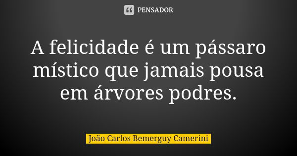 A felicidade é um pássaro místico que jamais pousa em árvores podres.... Frase de João Carlos Bemerguy Camerini.