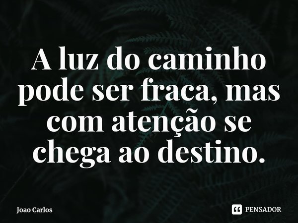 ⁠A luz do caminho pode ser fraca, mas com atenção se chega ao destino.... Frase de Joao Carlos.