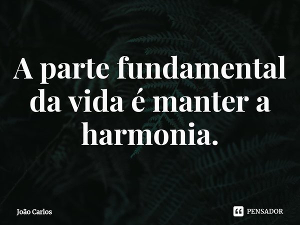 ⁠A parte fundamental da vida é manter a harmonia.... Frase de Joao Carlos.