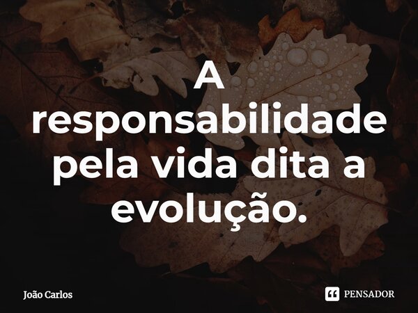 ⁠A responsabilidade pela vida dita a evolução.... Frase de Joao Carlos.