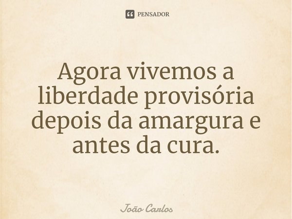 ⁠Agora vivemos a liberdade provisória depois da amargura e antes da cura.... Frase de Joao Carlos.