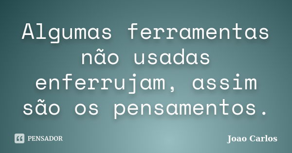 Algumas ferramentas não usadas enferrujam, assim são os pensamentos.... Frase de João Carlos.