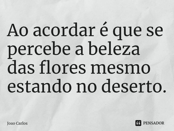 ⁠Ao acordar é que se percebe a beleza das flores mesmo estando no deserto.... Frase de Joao Carlos.
