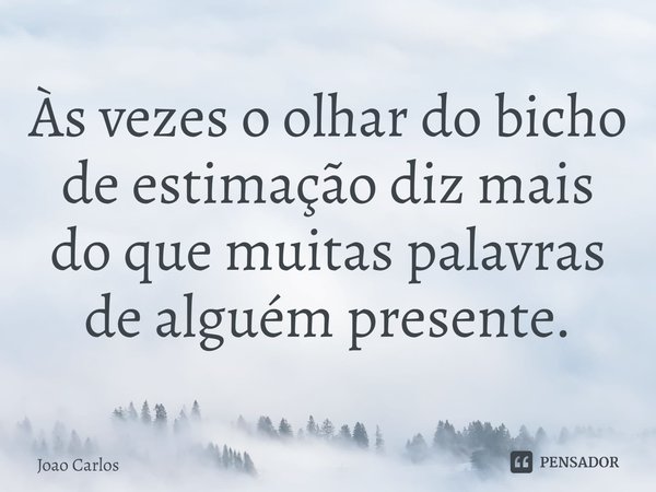 ⁠Às vezes o olhar do bicho de estimação diz mais do que muitas palavras de alguém presente.... Frase de Joao Carlos.