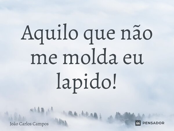 ⁠Aquilo que não me molda eu lapido!... Frase de João Carlos Campos.