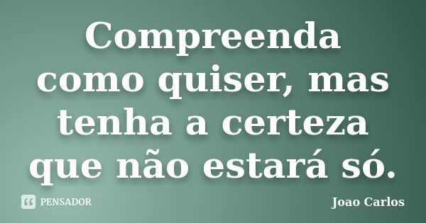 Compreenda como quiser, mas tenha a certeza que não estará só.... Frase de João Carlos.