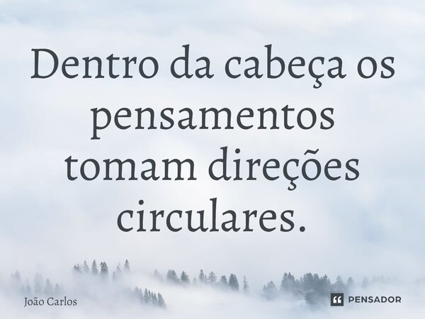 ⁠Dentro da cabeça os pensamentos tomam direções circulares.... Frase de Joao Carlos.