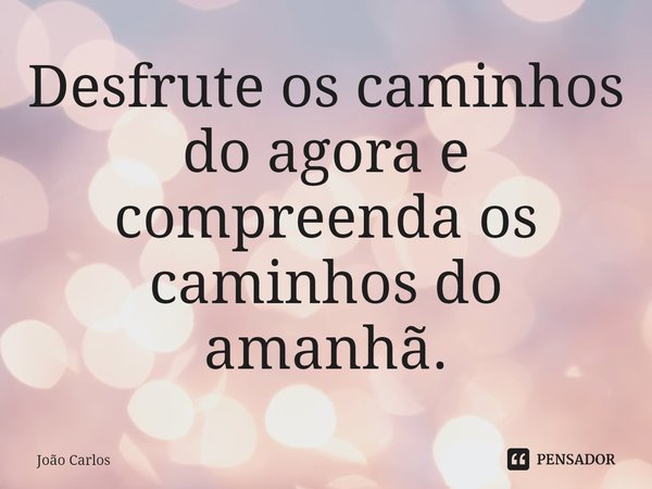 ⁠Desfrute os caminhos do agora e compreenda os caminhos do amanhã.... Frase de Joao Carlos.