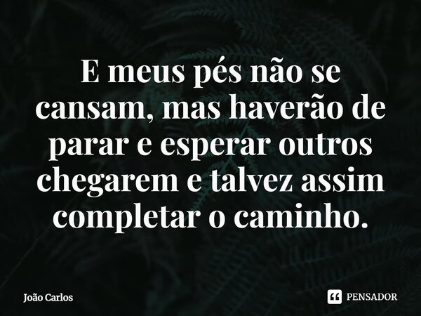 ⁠E meus pés não se cansam, mas haverão de parar e esperar outros chegarem e talvez assim completar o caminho.... Frase de Joao Carlos.