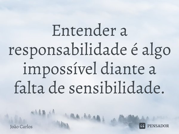 ⁠Entender a responsabilidade é algo impossível diante a falta de sensibilidade.... Frase de Joao Carlos.