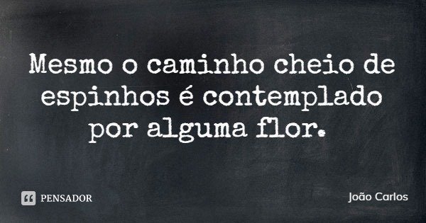 Mesmo o caminho cheio de espinhos é contemplado por alguma flor.... Frase de João Carlos.