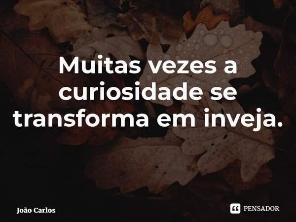 Muitas vezes a curiosidade se transforma em inveja. ⁠... Frase de Joao Carlos.