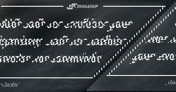 Não são os críticos que me inspiram, são os sábios que encontro no caminho.... Frase de João Carlos.