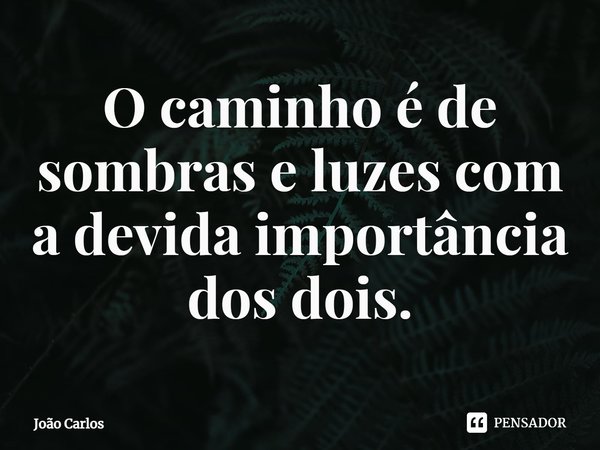 ⁠O caminho é de sombras e luzes com a devida importância dos dois.... Frase de Joao Carlos.