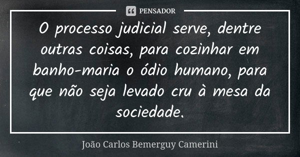 O processo judicial serve, dentre outras coisas, para cozinhar em banho-maria o ódio humano, para que não seja levado cru à mesa da sociedade.... Frase de João Carlos Bemerguy Camerini.