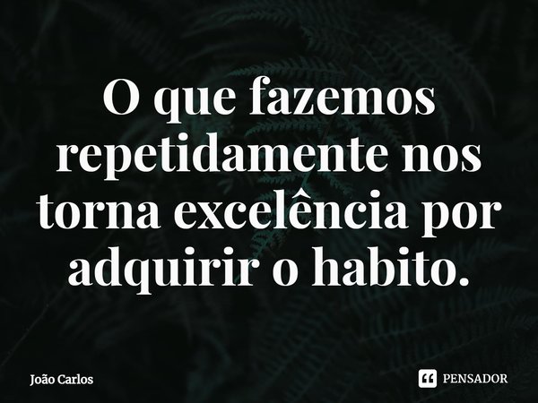 ⁠O que fazemos repetidamente nos torna excelência por adquirir o habito.... Frase de Joao Carlos.