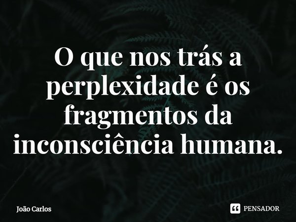 ⁠O que nos trás a perplexidade é os fragmentos da inconsciência humana.... Frase de Joao Carlos.