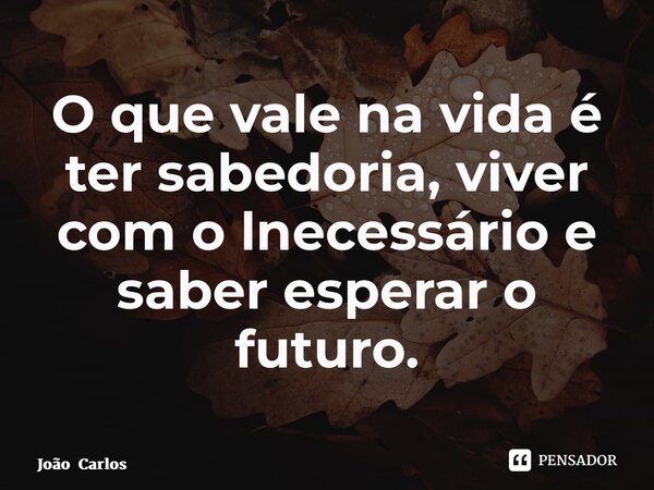 ⁠O que vale na vida é ter sabedoria, viver com o lnecessário e saber esperar o futuro.... Frase de João Carlos.