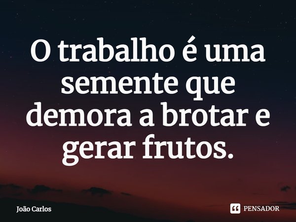 ⁠O trabalho é uma semente que demora a brotar e gerar frutos.... Frase de Joao Carlos.