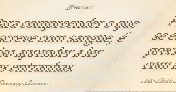 Para compreender o que se escreve com sangue, é preciso aprender a ler com as entranhas.... Frase de João Carlos Bemerguy Camerini.