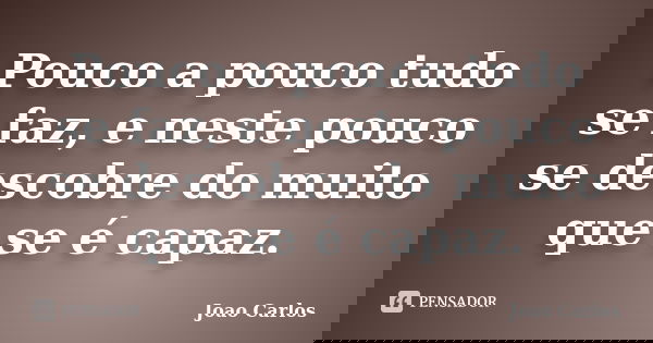 Pouco a pouco tudo se faz, e neste pouco se descobre do muito que se é capaz.... Frase de João Carlos.
