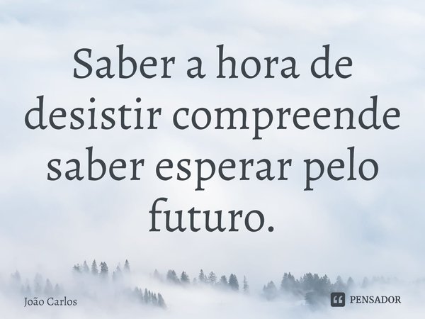 ⁠Saber a hora de desistir compreende saber esperar pelo futuro.... Frase de Joao Carlos.