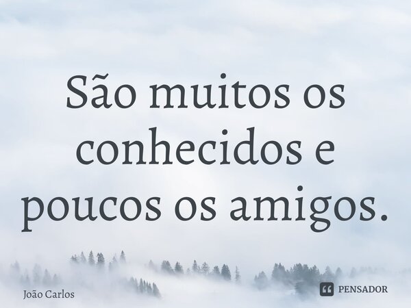 ⁠São muitos os conhecidos e poucos os amigos.... Frase de Joao Carlos.