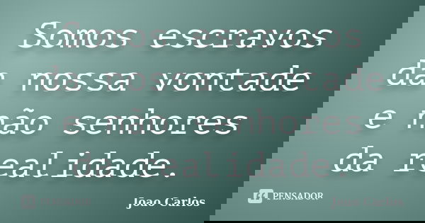 Somos escravos da nossa vontade e não senhores da realidade.... Frase de João Carlos.