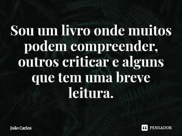 ⁠Sou um livro onde muitos podem compreender, outros criticar e alguns que tem uma breve leitura.... Frase de Joao Carlos.