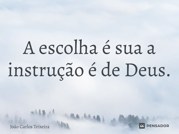 ⁠A escolha é sua a instrução é de Deus.... Frase de João Carlos Teixeira.