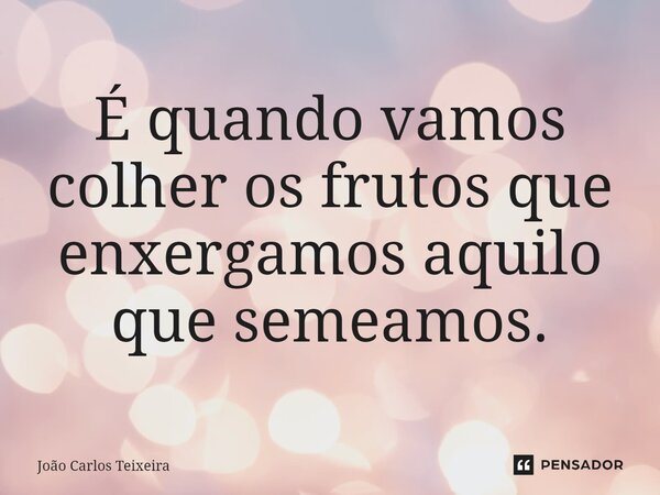 ⁠É quando vamos colher os frutos que enxergamos aquilo que semeamos.... Frase de João Carlos Teixeira.