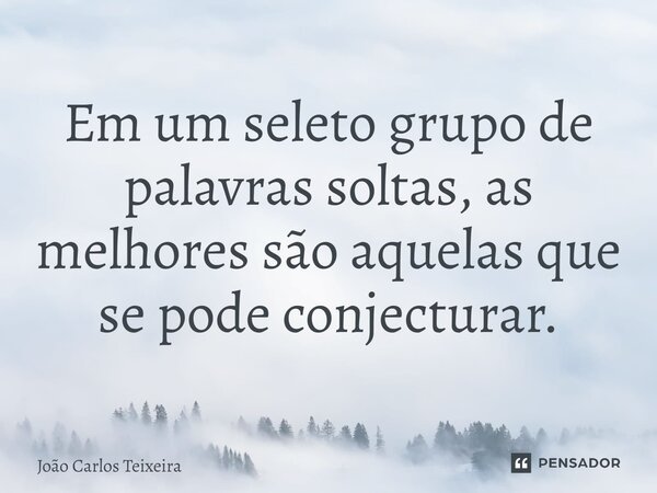 ⁠Em um seleto grupo de palavras soltas, as melhores são aquelas que se pode conjecturar.... Frase de João Carlos Teixeira.