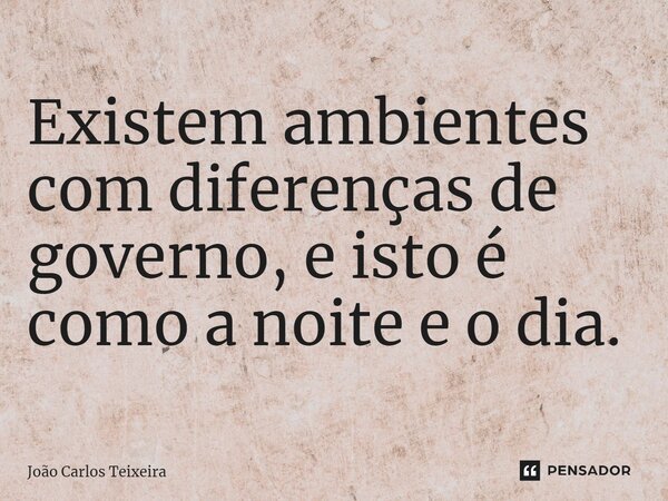 ⁠Existem ambientes com diferenças de governo, e isto é como a noite e o dia.... Frase de João Carlos Teixeira.